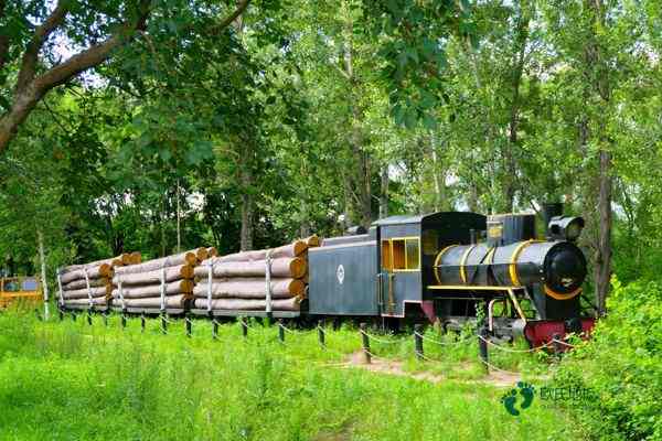 學?；@球場館木地板哪里買好1