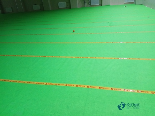 體育運(yùn)動(dòng)地板牌子2