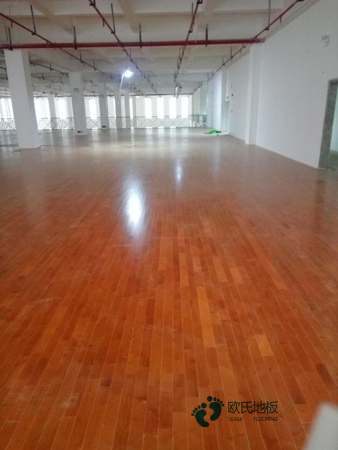 楓樺木運(yùn)動籃球木地板價錢